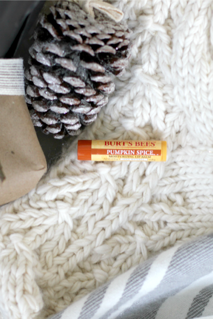 Burt's Bees Pumpkin Spice Lip Balm at Target, the perfect stocking stuffer