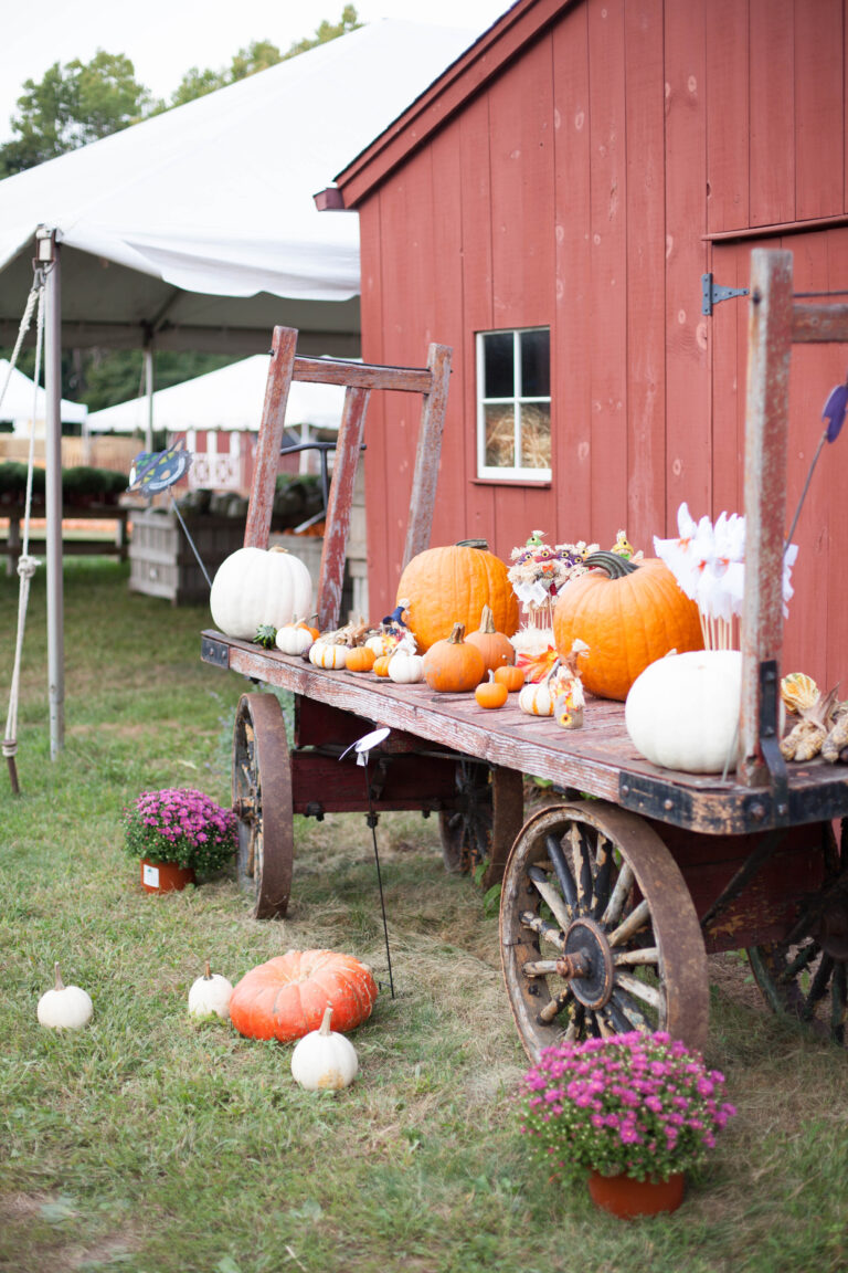 Style + Travel // Kid-Friendly Connecticut Shoreline Fall Activities