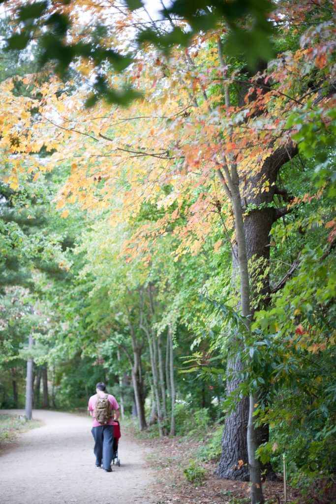 The best place to stroll along the Connecticut Shoreline featuring the Shoreline Greenway Trail at Hammonasset State Park and the Baby Jogger City Tour stroller