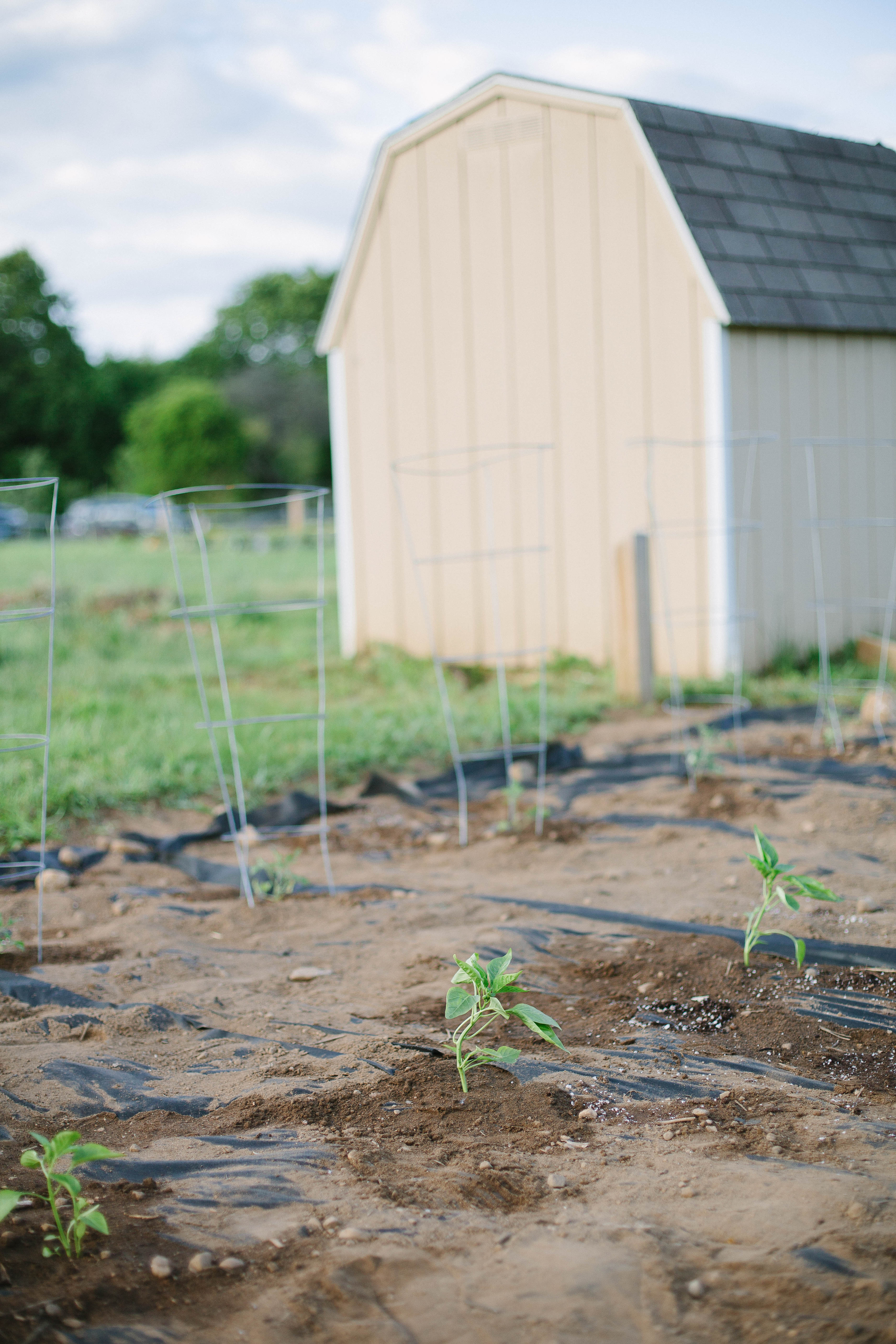 Planning on starting a garden? These tips on Gardening For Kids give ways to get the little ones involved!