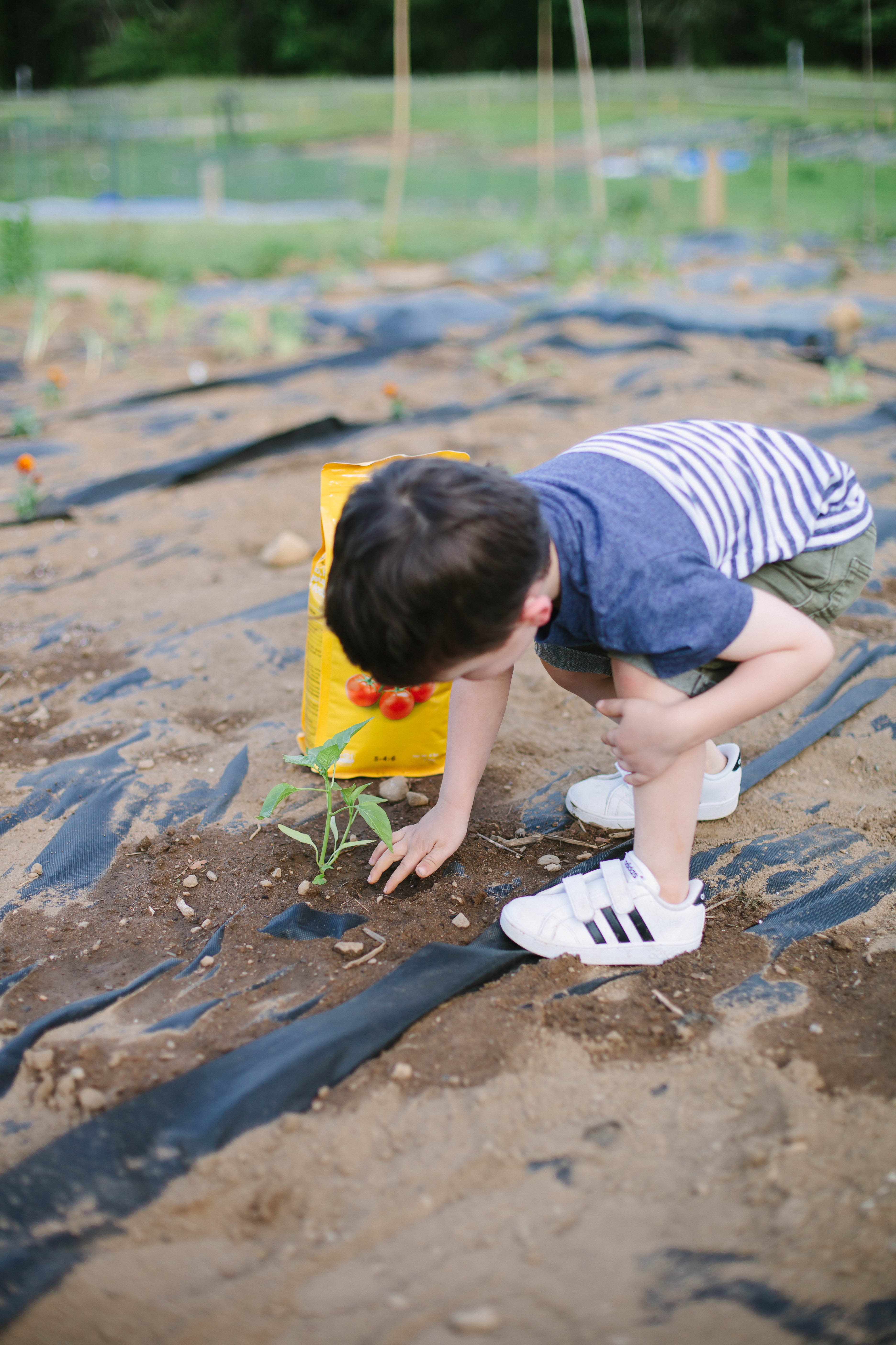 Planning on starting a garden? These tips on Gardening For Kids give ways to get the little ones involved!