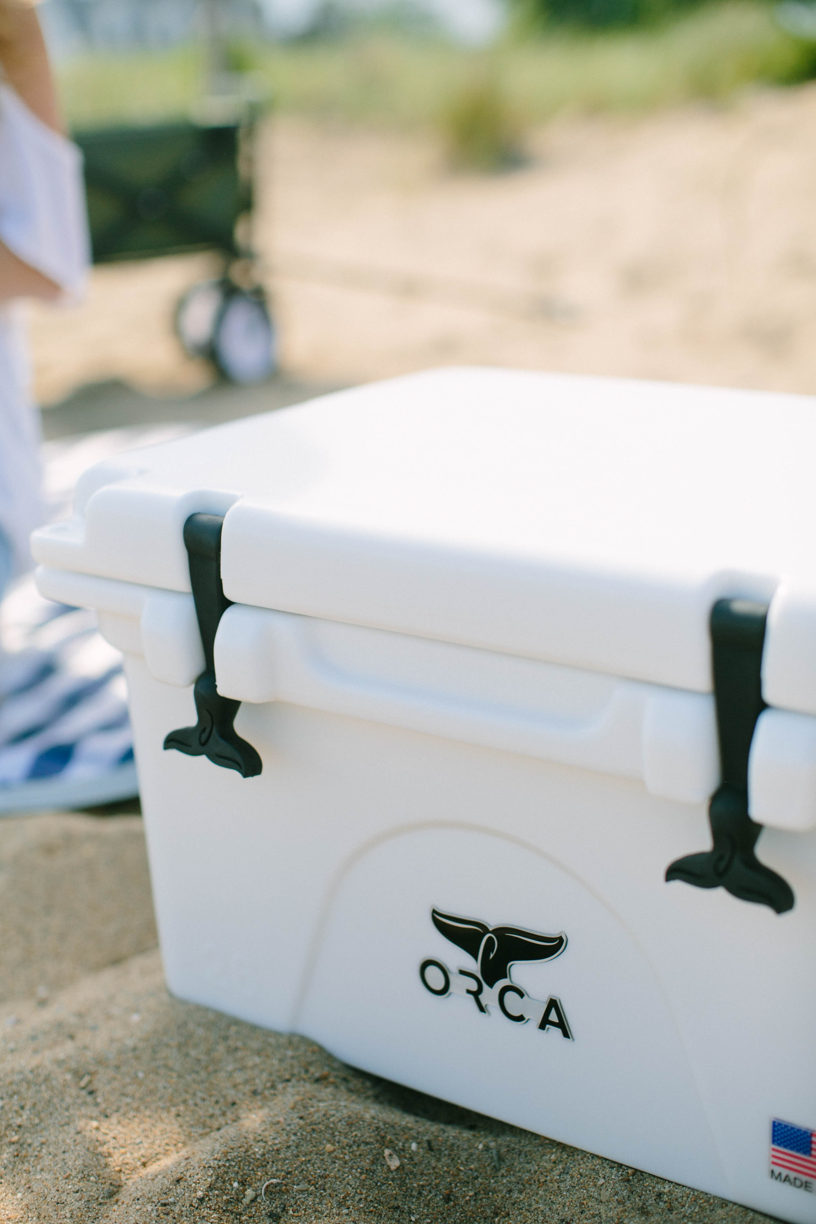 Heading to the beach with the kids? Check out these Summer Beach Picnic Essentials for items that will make things go a little smoother!