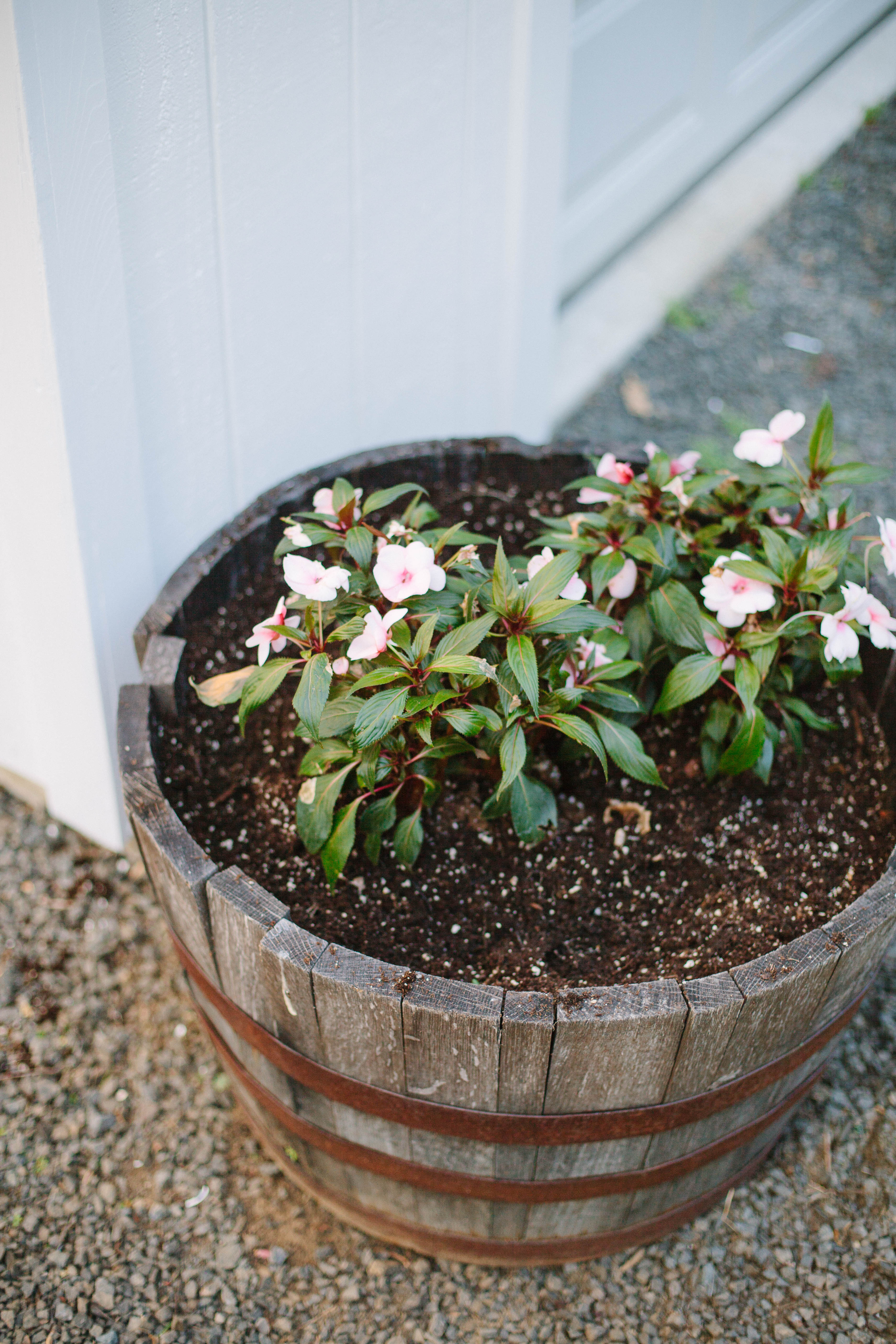 Looking for some budget-friendly ways to improve the exterior of your home? These Easy Ways to Add Curb Appeal are cost effective and make a high impact!