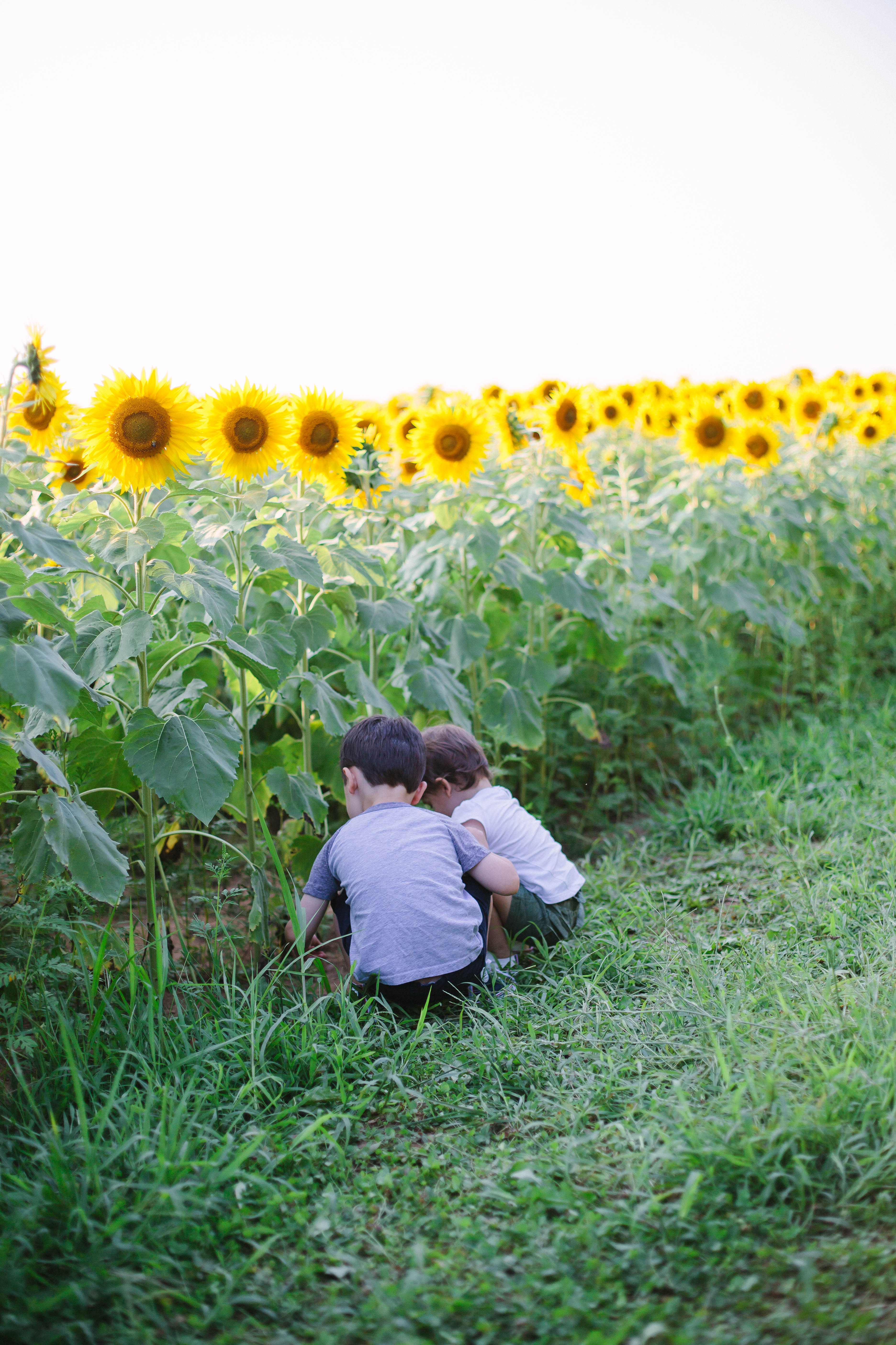 The bond between a brother and a sister, why PF Flyers are the shoe of choice for energetic toddlers.