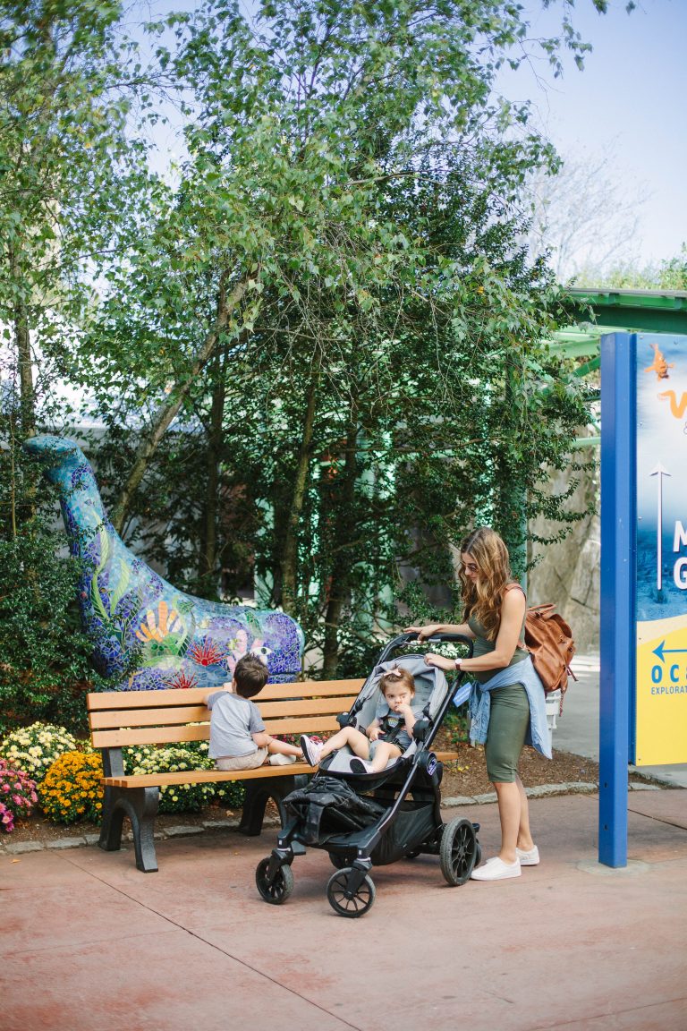 What To Do with One Day in Mystic Connecticut