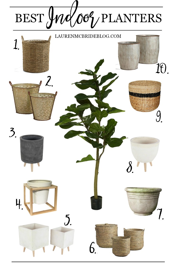 The 10 Best Indoor Planters