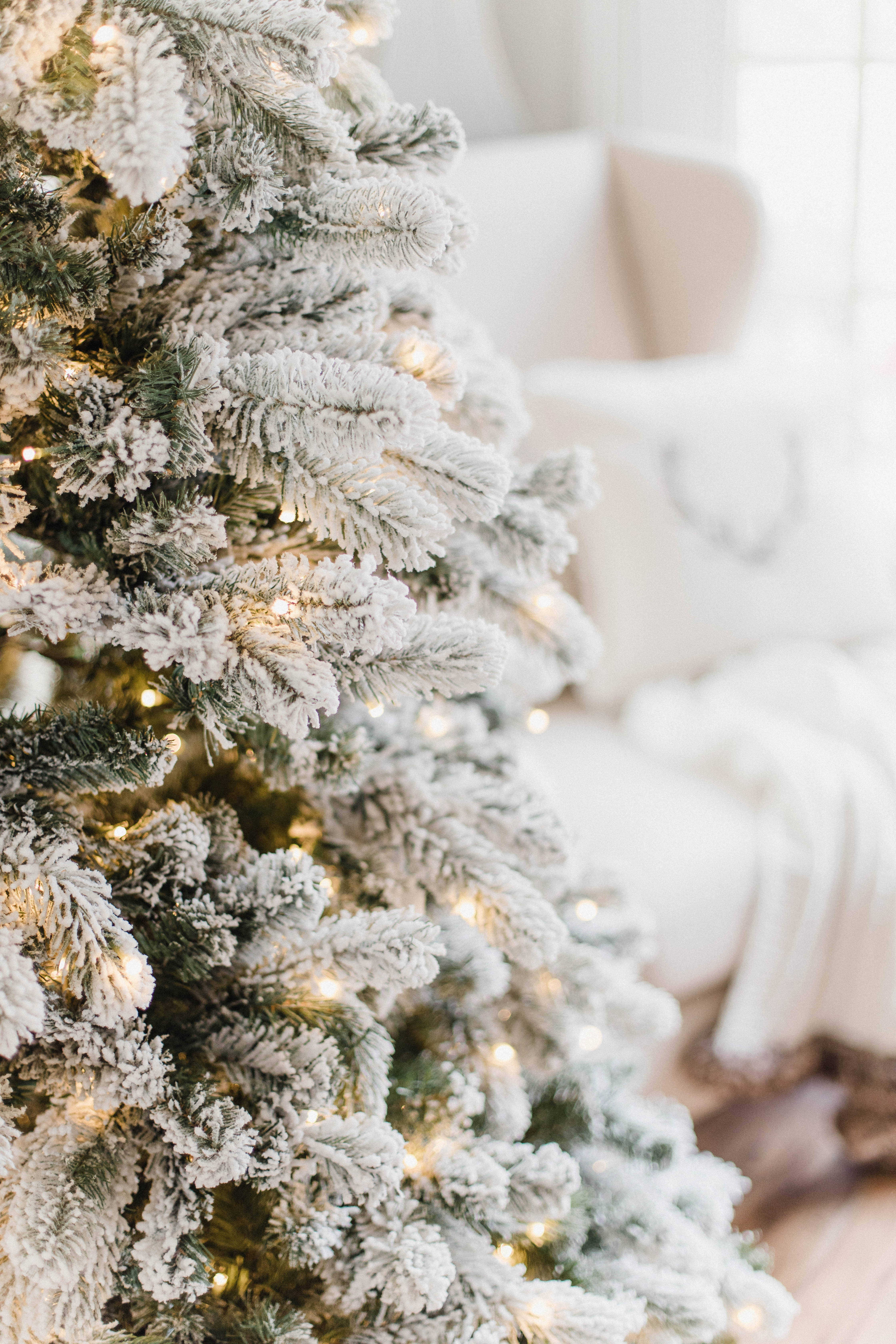 Connecticut life and style blogger Lauren McBride shares details and FAQs about her King of Christmas King Flock tree, including tree stand details.