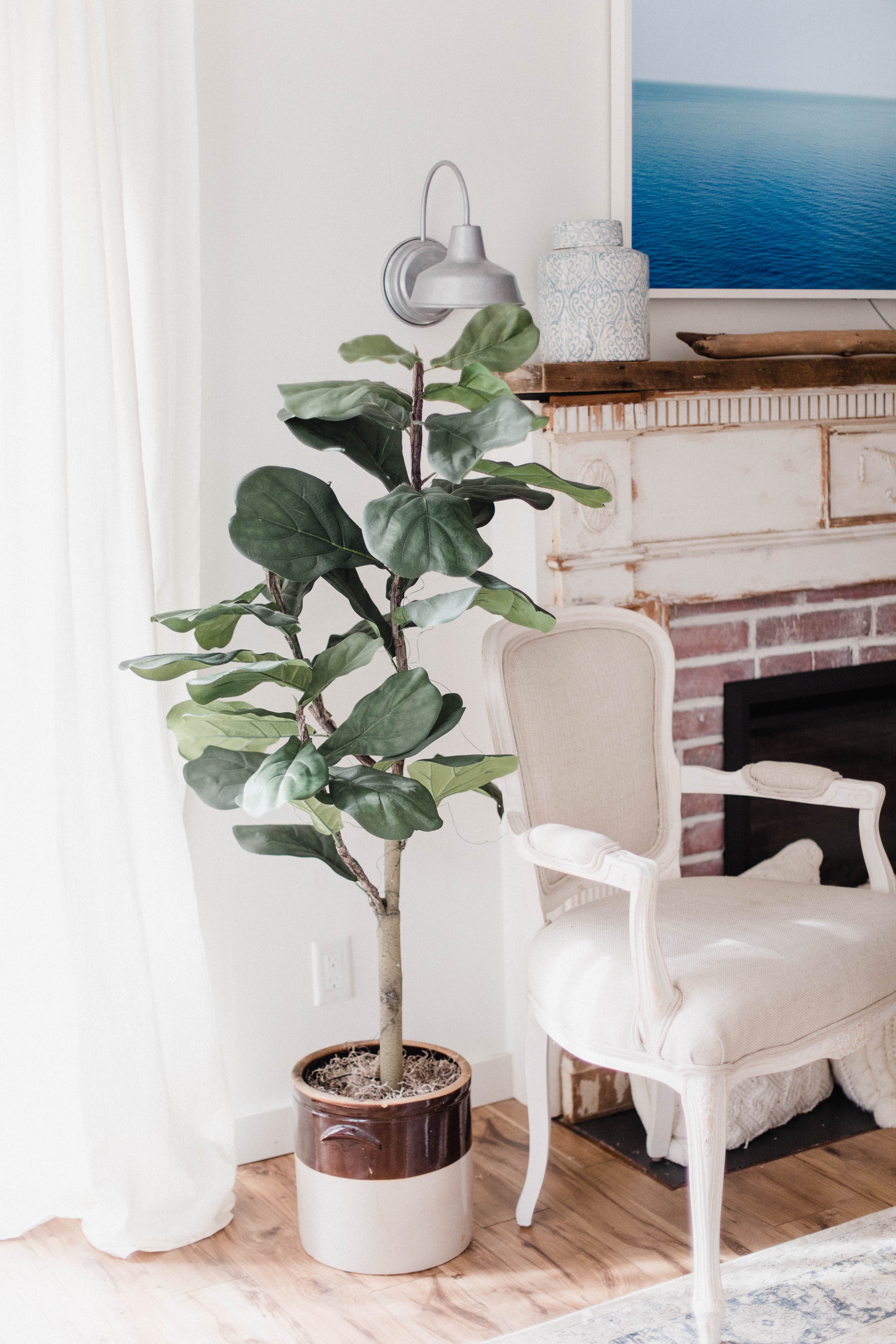 Connecticut life and style blogger Lauren McBride shares her January QVC Finds including a faux fiddle leaf fit, beauty deals, and cozy options.