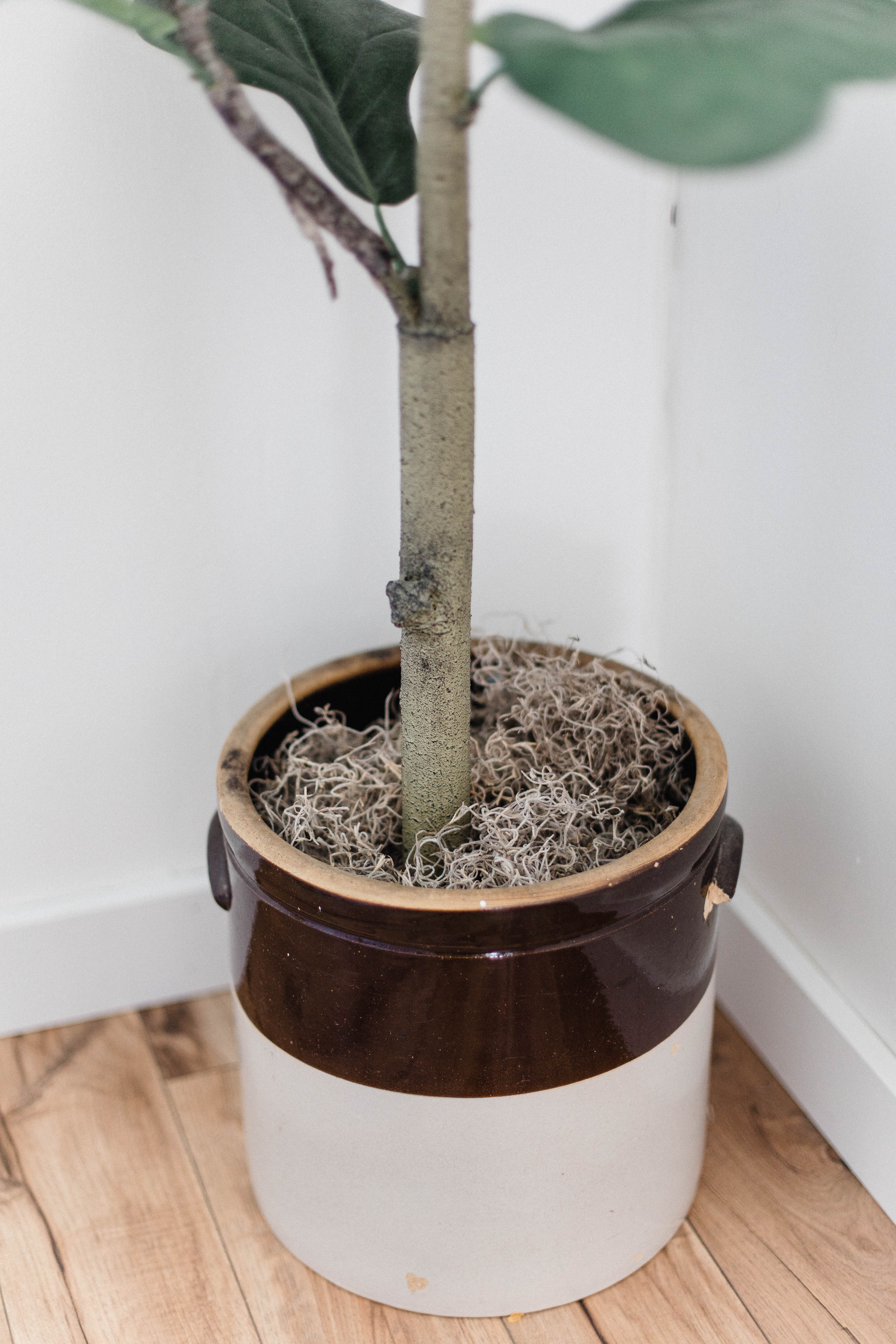 How to Pot Your Faux Fiddle Leaf Fig Tree - Lauren McBride