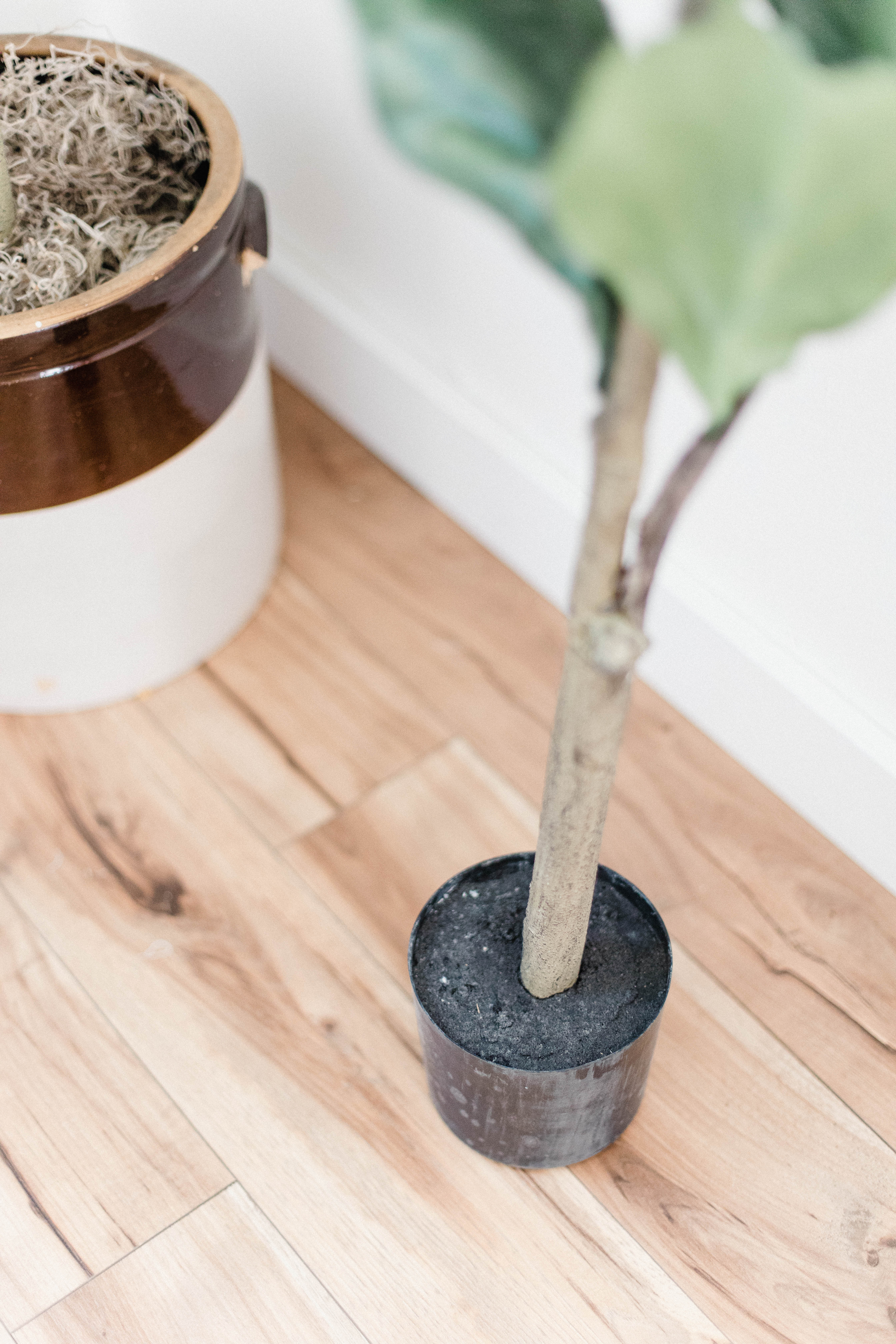 How to Pot Your Faux Fiddle Leaf Fig Tree - Lauren McBride