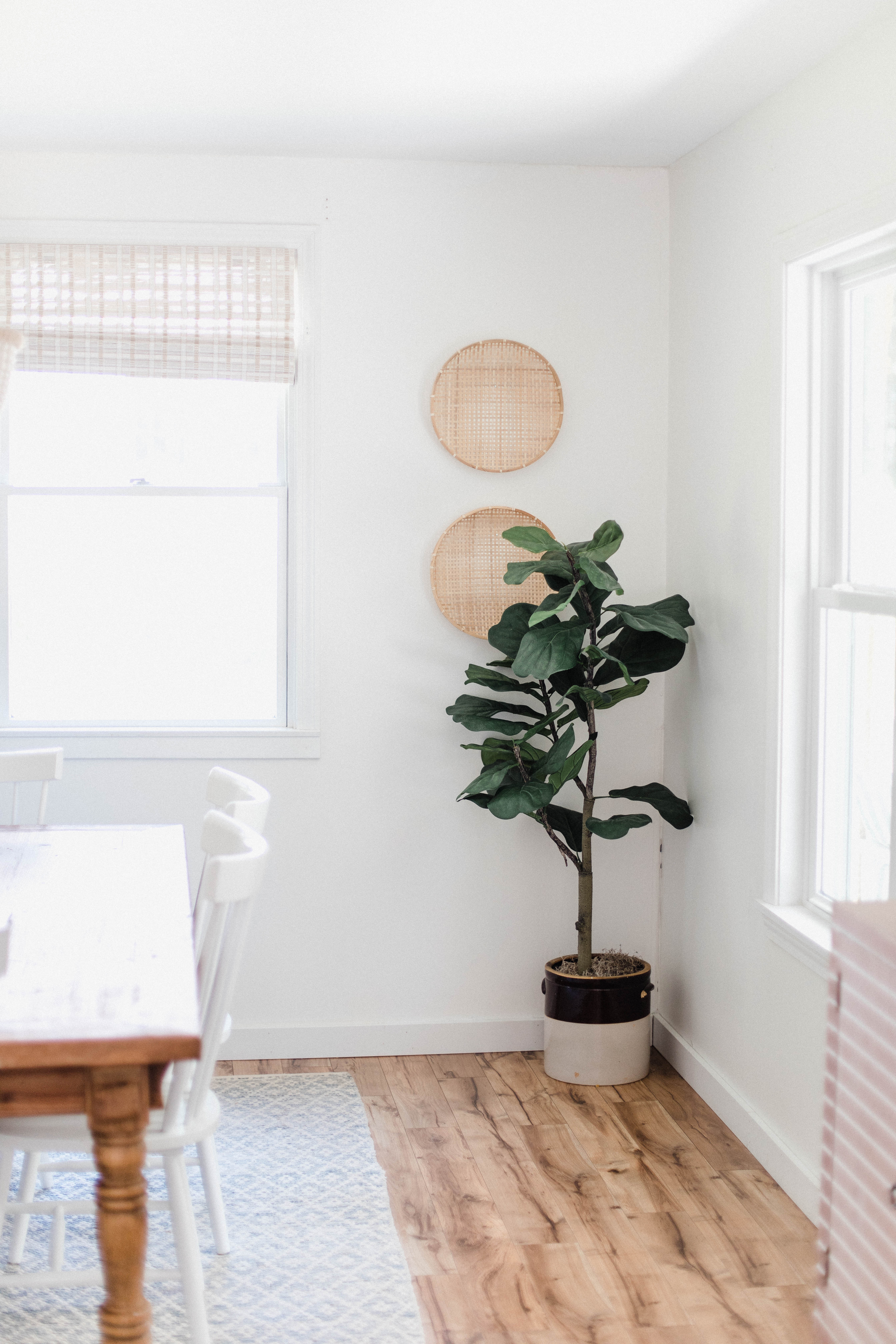 How To Pot Your Faux Fiddle Leaf Fig Tree Lauren Mcbride