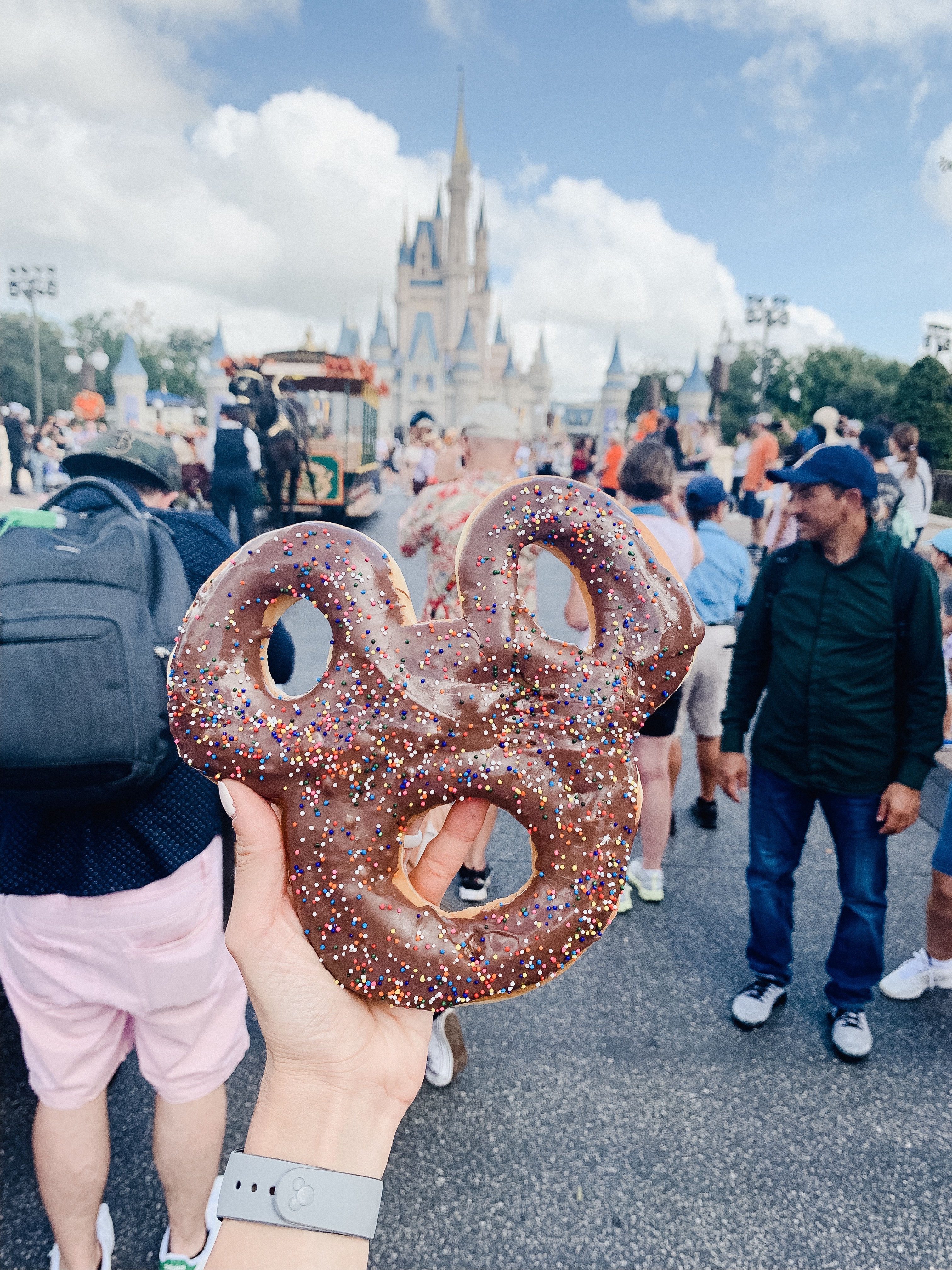 Our First Trip to Walt Disney World - Lauren McBride